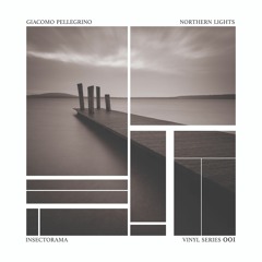 Giacomo Pellegrino - Aurora [Insectorama]