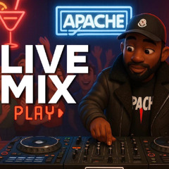 AFROBEAT HIPHOP DANCEHALL Mix 2025 | DJ APACHE Live At Club La Porte