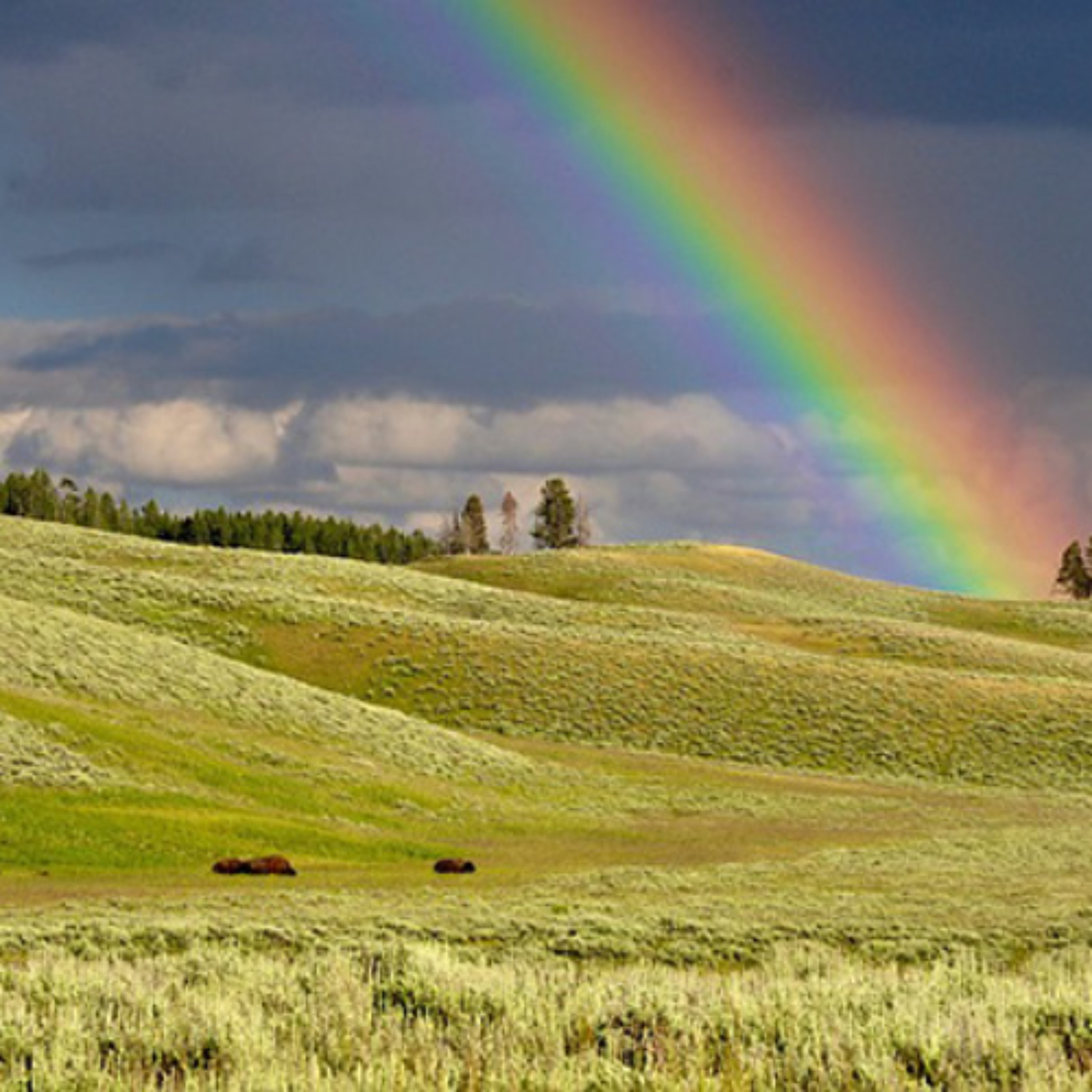 Food for the soul - Making rainbows - Joanna Kitto – 2/1/26 episode artwork