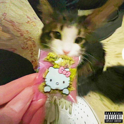 wrote this song 2 [prod. ozzywya]