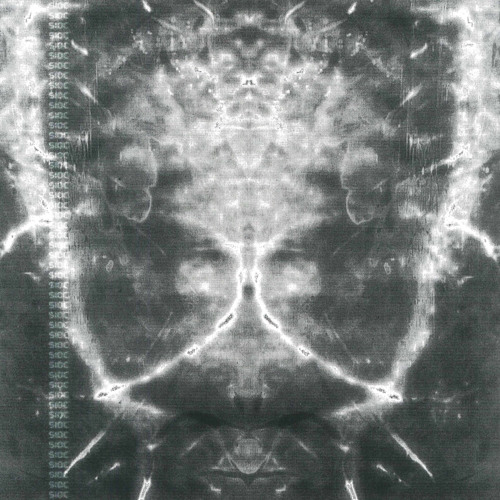 sioc - indigo nights
