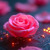Artwork for Rust in the Rose Garden (Rachel Love and the Cyber Band)