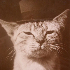 One Night At Alacati