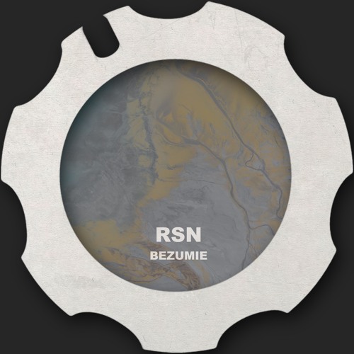 PREMIERE – RSN – Bezumie (Analog Concept)