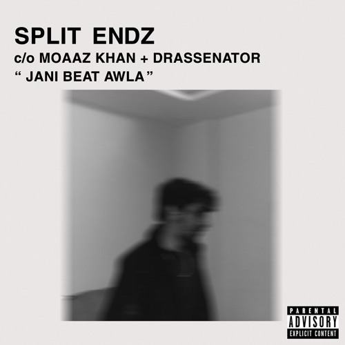 SPLIT ENDZ (feat. Moaz Khan)