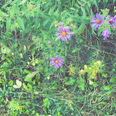 running out of time (audio)