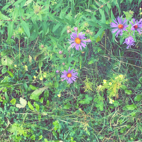 running out of time (audio)