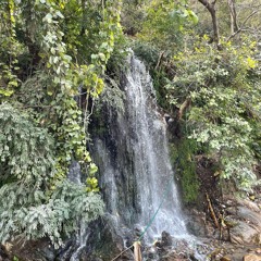 Light Waltz in F minor