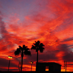 iniko - the king's affirmation (prod. by BVNZO)