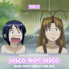 Disco Not Disco Vol. 7 -Rare With You At The Spa-