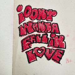 i don’t wanna fall in love