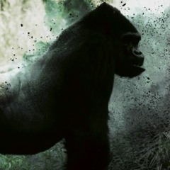 Robbery Ft Jack Royals (freestyle)