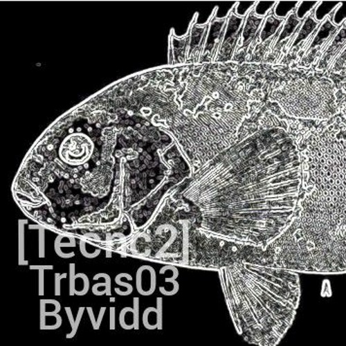 TR BAS03 [tecnc2]