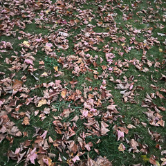 Herbst