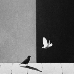 Mujhko Mila Reprise (Karun, Chaar Diwaari, Adil)