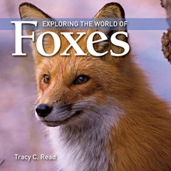 download EPUB 📌 Exploring the World of Foxes by  Tracy C. Read PDF EBOOK EPUB KINDLE