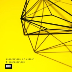 LEENI: 008 - Association of Unison & Paarpaletten Podcast