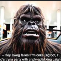 freestyle 2 in 1 P.1