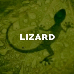 Boris Brejcha - Lizard (Unreleased Extended Fix)