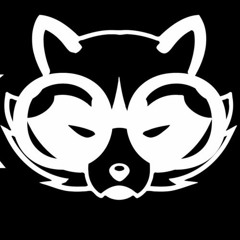 DJ RACKOON PLAYLIST