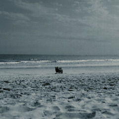 You giving up? It's Raining In Mexico