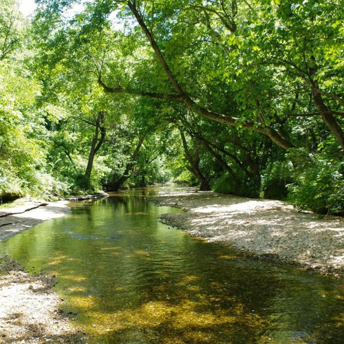 Stream Know The News Northwest Arkansas Land Trust protecting natural areas by Northwest