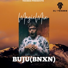 Buju(BNXN) MagicMix (Extended TikTok)||Mixed by DJTeeBee
