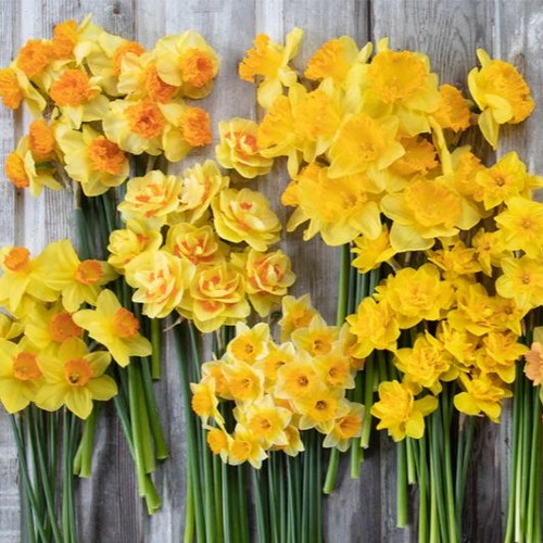 Bulbs of Appreciation: Thanks for all your playlists and comments on The Shrike Pt. 1, Pt. 2!