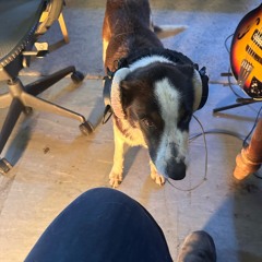 Ai vocals are shit, I think….