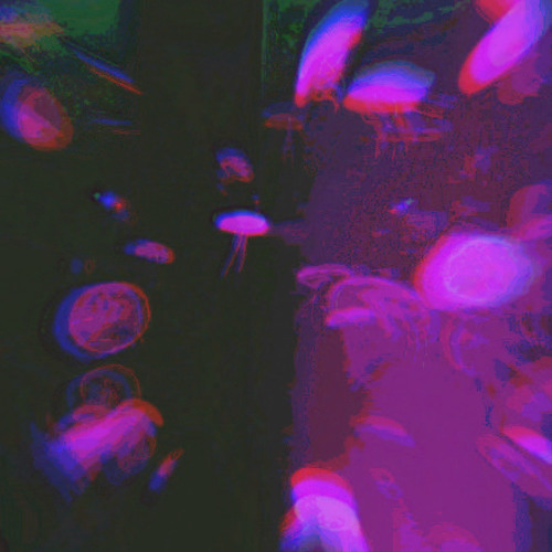 愛痛い (prod.Dan Darmawan)