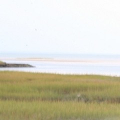 . (something like this)