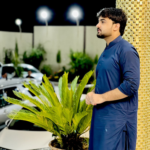 Ishqi Man X Do Pal Veer-Zaara l Madina Aknazarova l Shah Rukh Khan