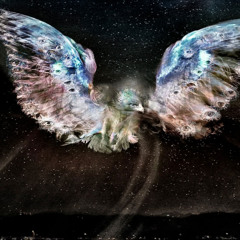 Judith Nangala Crispin in conversation with Robbie Buck