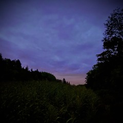 VSS20 .2. pt.1- (Instrumental)