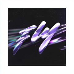 Fly
