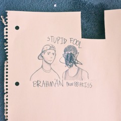 Brahman - Stupid Fool (Prod. bbhriss)