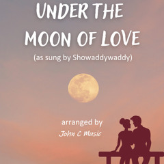 Under The Moon Of Love  (Instrumental Cover) – John C Music
