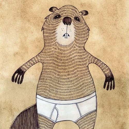 BÓBR KURWA Mix
