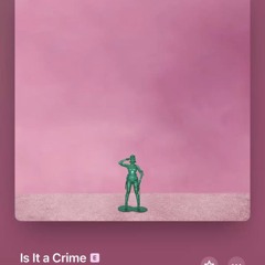 IS IT A CRIME KNOX - G MIX
