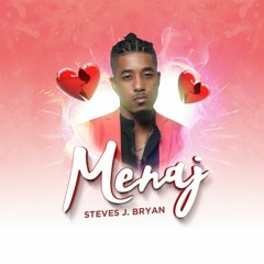 Steves J. Bryan - Menaj