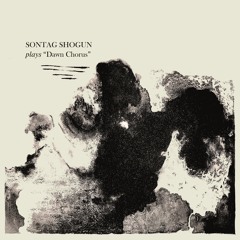 YBZ042 / Sontag Shogun - Dawn Chorus EP