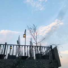 Wafa Chahye Slowed and Reverbed