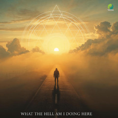 WHAT THE HELL AM I DOING HERE