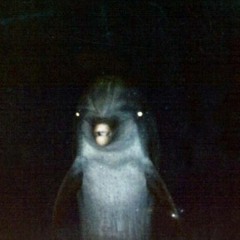 Coffin Dolphin