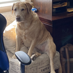 light yagami x killswitch riff #6 (slowed)