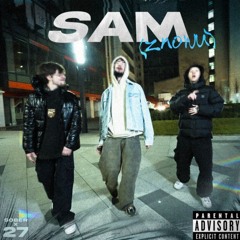 Cheatz & Buffalo ft.27.F*ckdemons - Sam (znowu)
