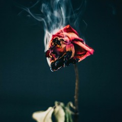 As The Petals Burn