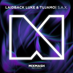 Laidback Luke & Tujamo Vs TLC - No Srubs Sax (Horizon '21 Smashup)