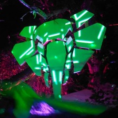 Elephantrave 25-08-23