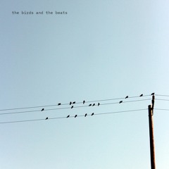 Rad Lights | the birds and the beats